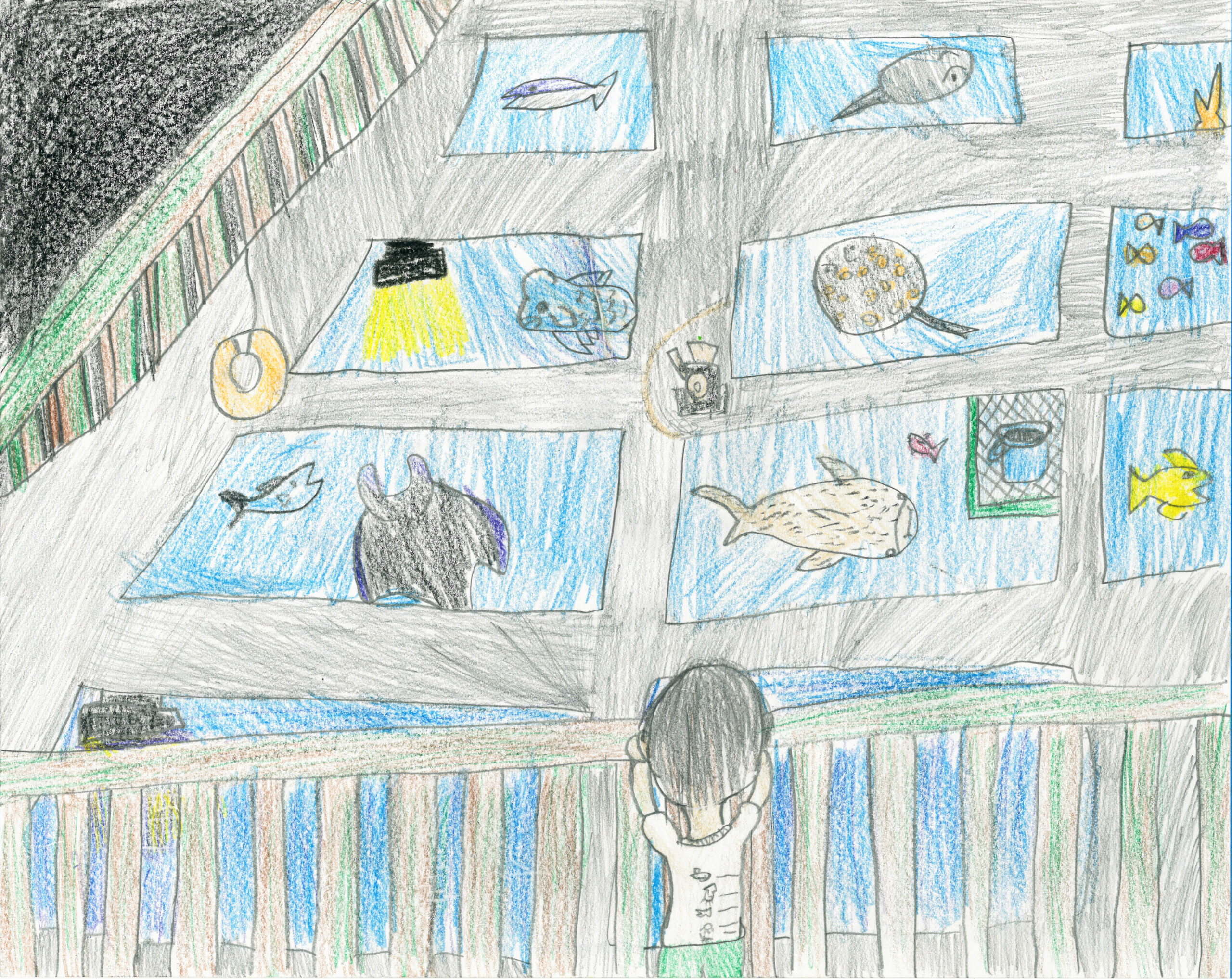 20240234-2.jpg